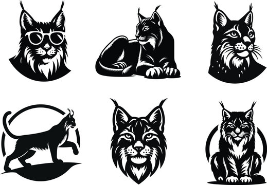 Digital Art of Iberian Lynx Cat set, Forest Animal Illustration for Print or Web
