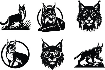 Iberian Lynx Cat Sketch Vector, Natural Wildlife Design for Posters and Branding
