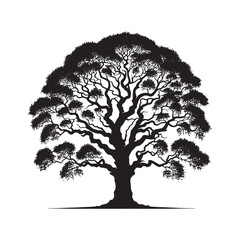Lombardy London plane tree Vector - Minimalist Tree Silhouette - Tree Design - Tree Artwork.