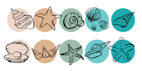 Muschel und Seestern Vektor Set, handgemalte Design Elemente für Karten und Einladungen © colors.of.kiki