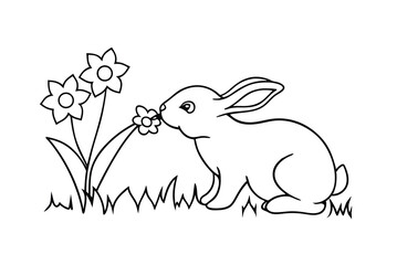 Cute Rabbit Sniffing Flower Outline Vector Illustration For Easter And Spring
