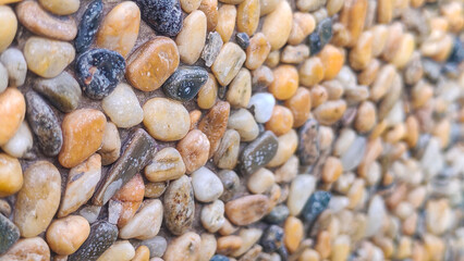 Close-Up View of Various Colorful Pebbles with Varied Textures