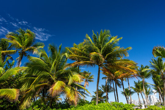 La Ventana al Mar park in Condado Puerto Rico 