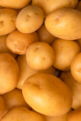 A group of fresh tasty potato as  background.
