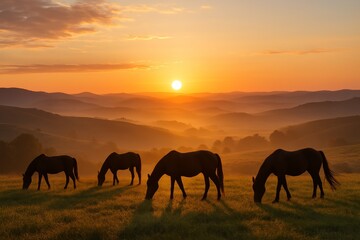 Beautiful Sunset View With Horses Grazing in a Serene Meadow Landscape
