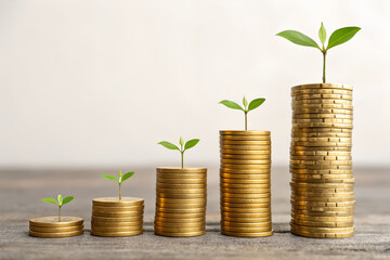 Investment Growth Concept with Stacked Coins and Seedlings – Financial Success and Wealth Building