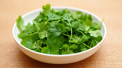 Freshly Harvested Cilantro Leaves in a Bowl, Perfect for Enhancing the Flavor of Homemade Dishes and Creative Culinary Recipes