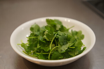 Freshly Harvested Cilantro Leaves in a Bowl, Perfect for Enhancing the Flavor of Homemade Dishes and Creative Culinary Recipes
