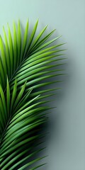 Obraz premium Lush green palm leaves against a soft backdrop