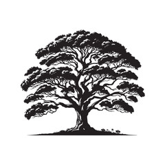 Mountain Ash Tree Silhouette - Tree Design - Minimalist Mountain ash Vector - Tree Black and White Illustration.