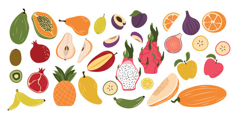 A large selection of various fruits on a white background, hand-drawn. Fashionable abstract minimalist style. Natural fruits. Vector illustration.