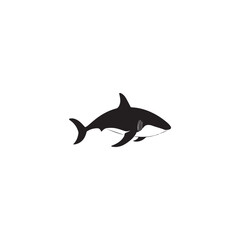 Fototapeta premium image of a shark from the side, logo, black and white, graphics, vector 
