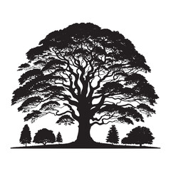 Minimalist tree Silhouette - Norway Maple Vector - Tree Illustration - Tree minimalist Design.