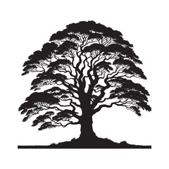 Minimalist tree Silhouette - Norway Maple Vector - Tree Illustration - Tree minimalist Design.