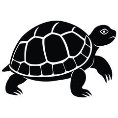 Turtle animal black and white silhouette illustration vector