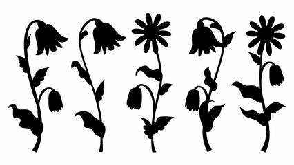 set chamomile silhouette vector on white background
