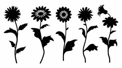 set chamomile silhouette vector on white background