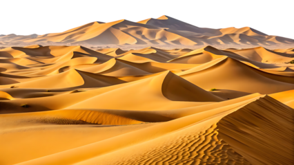 Sahara desert sand dunes landscape on transparent background