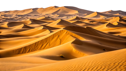 Sahara desert sand dunes landscape on transparent background