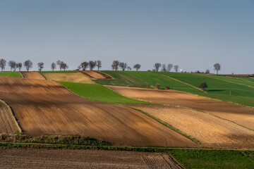 Spring fields of Ponidzie: rolling hills and patchwork farmland in the heart of Swietokrzyskie Poland. Peaceful glimpse into the traditional rural landscape 