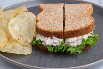 chicken salad  sandwich  with a side of chips