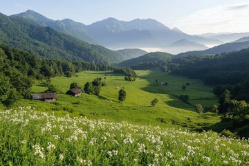 Obraz premium Lush valley with meadow and mountains