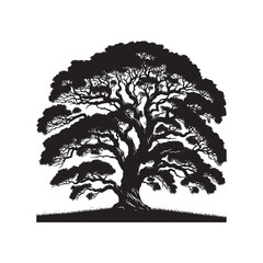 Tree Silhouette - Minimalist Osage Orange Tree Vector - Minimalist Osage Orange Tree Design.