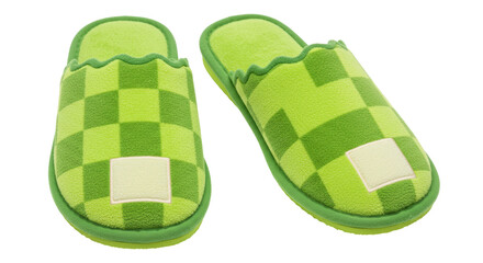 Isolated Checkered Slippers