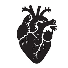 human organ, heart, men black vector silhouettes