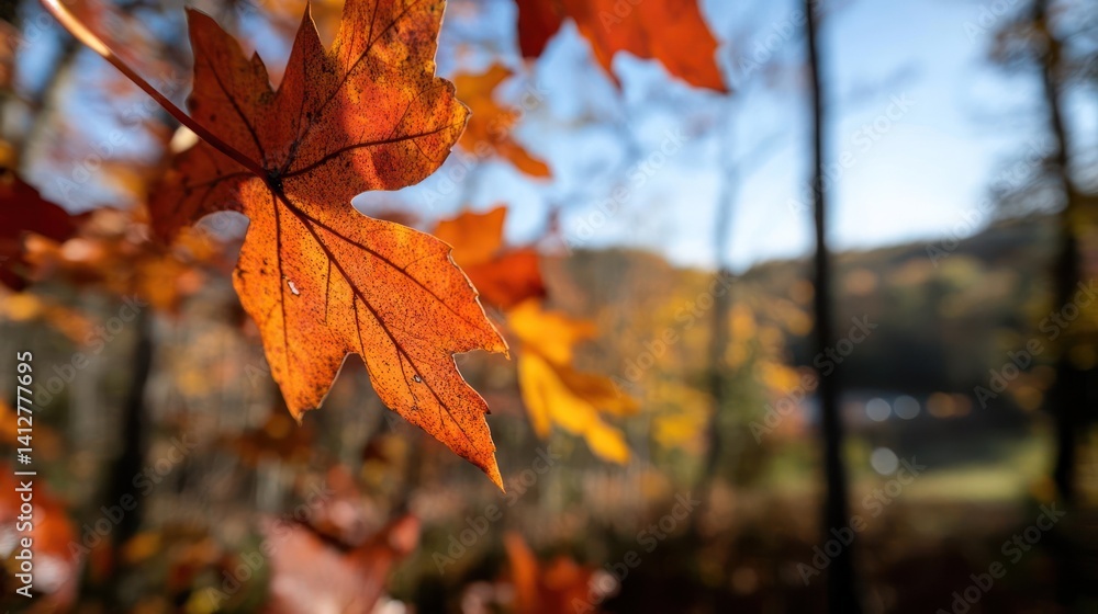 Poster A close-up shot capturing an orange maple leaf with intricate veins against an out-of-focus background of trees and sky, showcasing the warm hues of autumn foliage and creating a seasonal scenic