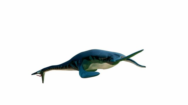 Realistic 3D rendering of an Ichthyosaur Swimming on White Background. Alpha channel.