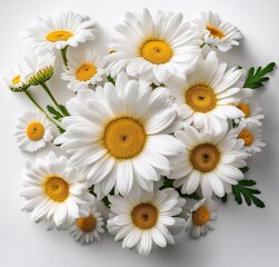 Obraz premium Beautiful White Daisies Bouquet Close Up Lovely Floral Arrangement for Spring Summer Design