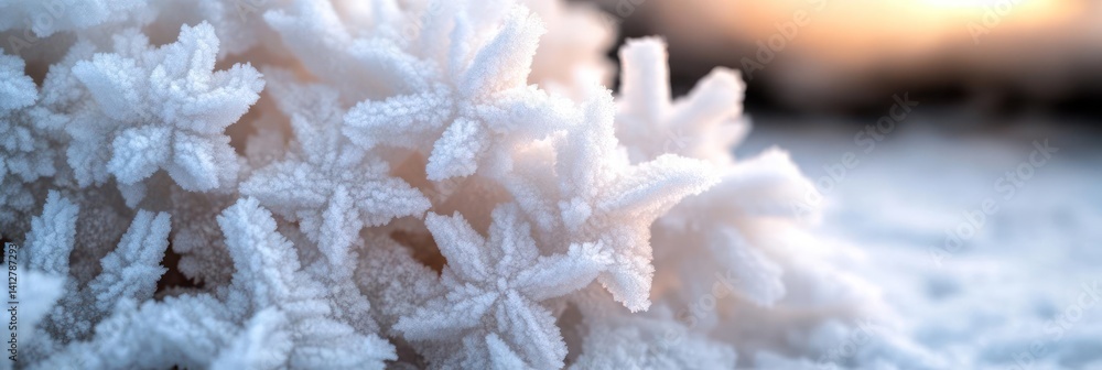 Aufkleber Macro shot of white frost flowers with intricate details, soft focus and warm color gradient background. The ice crystals form delicate, star-like structures with a gentle play of light and shadow