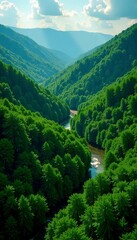 Aerial view of lush green forest on ultrawide dual WFHD wallpaper, aerial view, ultrawide