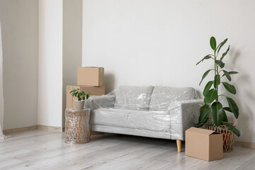 Wrapped furniture with stretch film, plants and boxes in room on moving day