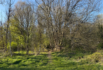 A narrow path winds through a wooded area with trees just beginning to show new green leaves. Sunlight filters through the branches, casting dappled shadows in, Beechwood Park, Illingworth, UK