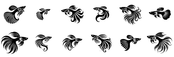 set vector silhouette fish
