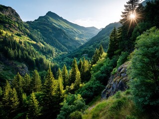 Lush Mountain Range Surrounded by Enchanting Forest in Sunshine