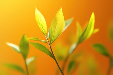 Bright, vibrant new leaves against a warm orange backdrop.