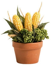 Fototapeta premium Vibrant corn arrangement in clay pot with fresh greenery and decorative grains perfect for rustic home decor