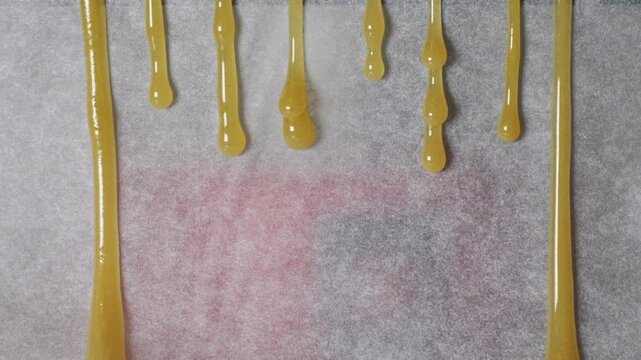 Freshly pressed medical cannabis, hash, live rosin, close-up. Concentrate or cannabis oil obtained by heat-pressing fresh marijuana auto-flowering plants. Production of CBD isolate