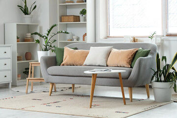 Cozy sofa, coffee table and shelving unit in interior of living room