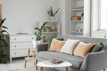 Cozy sofa, coffee table, chest of drawers and shelving unit in interior of living room