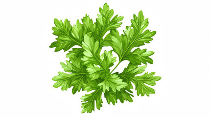 Fototapeta premium a green leaf of parsley on a transparent background, PNG image, PNG file, Generative art.