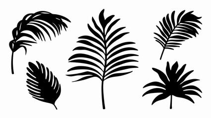 set palm leaf silhouette vector on white background © Rani