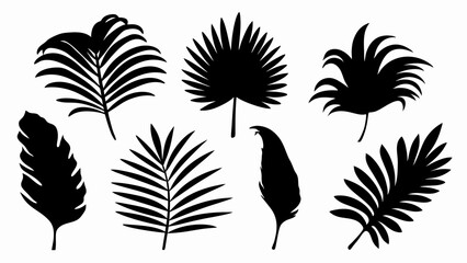 set palm leaf silhouette vector on white background © Rani