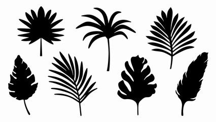 set palm leaf silhouette vector on white background © Rani