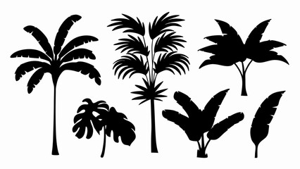 set palm leaf silhouette vector on white background © Rani