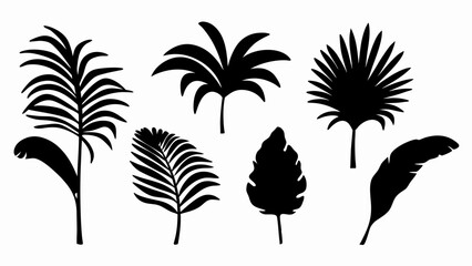 set palm leaf silhouette vector on white background © Rani