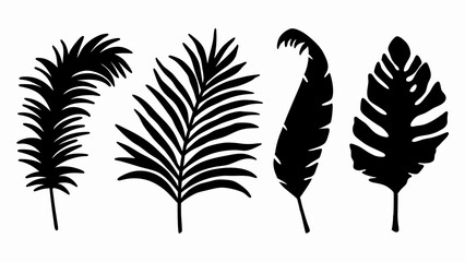 set palm leaf silhouette vector on white background